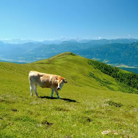 公寓 Danielsbergblick *