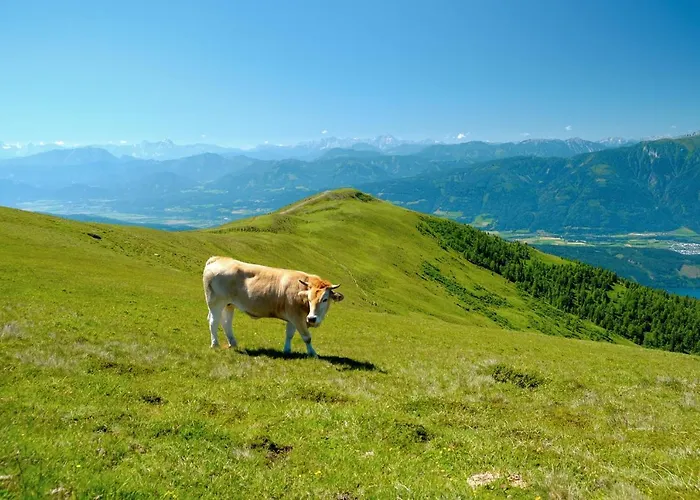 דירה Danielsbergblick *