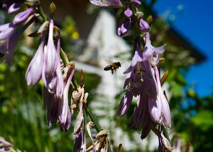 Danielsbergblick Napplach